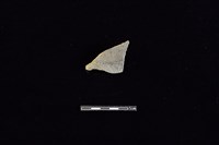 藏品(陶罐)的圖片